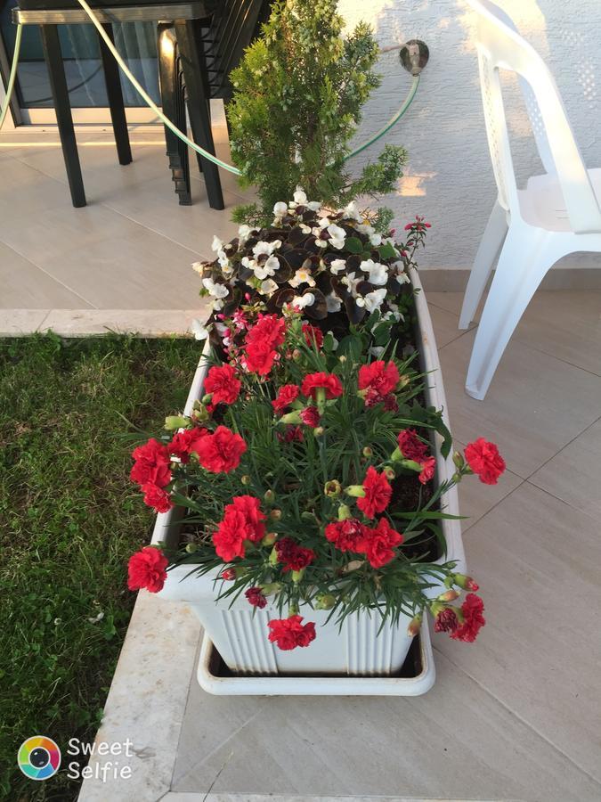 Sunset House Apartment Ksamil Ngoại thất bức ảnh